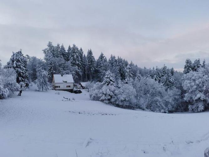Holiday home In Near River Filz